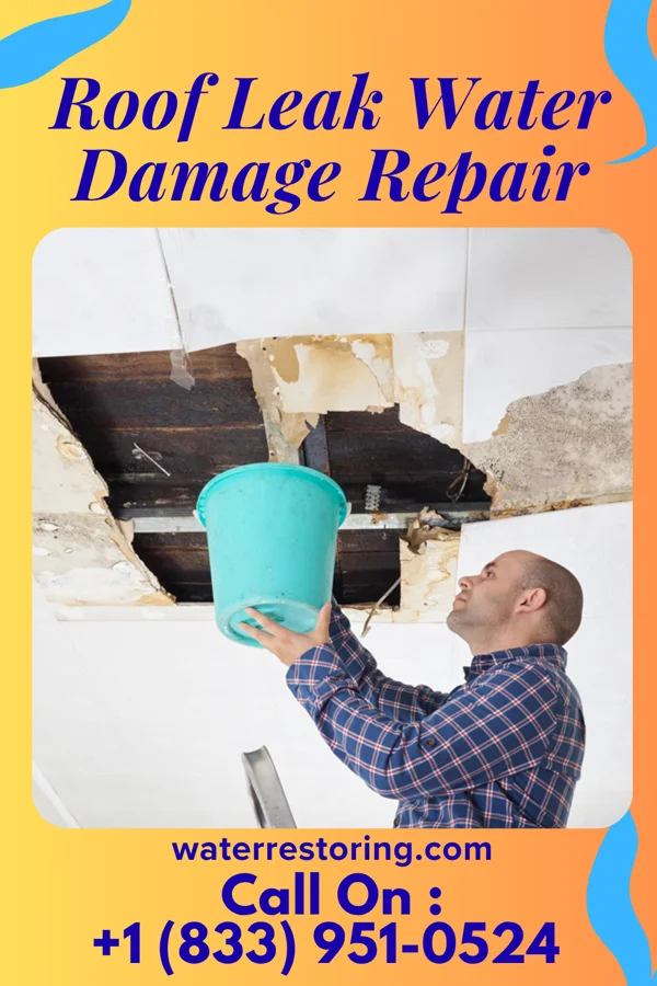 Roof Leak Water Damage Repair in Park Center, CO